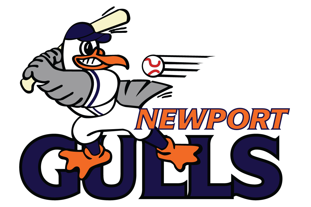 Newport Gulls 2001-Pres Primary Logo iron on transfers for clothing
